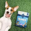 imageBlue Buffalo Bones Natural Crunchy Dog Treats Large Dog Biscuits Beef 16oz Bag 4 CountLarge Biscuits For Dogs 50 lbs Chicken