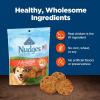 imageBlue Buffalo Nudges Homestyle Natural Dog Treats Made with Real Chicken Made in the USA Chicken 10oz BagChicken