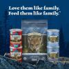 imageBlue Buffalo Wilderness Natural HighProtein ampamp GrainFree Wet Food for Puppies Turkey ampamp Chicken 125oz Cans 12 CountTurkey  Chicken