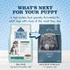 imageBlue Buffalo Baby Blue Healthy Growth Formula Grain Free High Protein Natural Puppy Dry Dog Food Chicken and Pea Recipe 4lbChicken  Pea