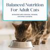 imageBlue Buffalo Basics GrainFree Wet Cat Food Skin ampamp Stomach Care Limited Ingredient Diet for Indoor Cats Duck ampamp Potato Entre 3oz Cans 24 CountFish