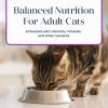 imageBlue Buffalo Basics GrainFree Wet Cat Food Skin ampamp Stomach Care Limited Ingredient Diet for Indoor Cats Duck ampamp Potato Entre 3oz Cans 24 CountTurkey