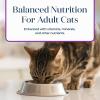 imageBlue Buffalo Basics GrainFree Wet Cat Food Skin ampamp Stomach Care Limited Ingredient Diet for Indoor Cats Duck ampamp Potato Entre 3oz Cans 24 CountTurkey