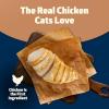 imageBlue Buffalo Freedom GrainFree Adult Weight Control Dry Cat Food Complete ampamp Balanced Nutrition for Indoor Cats Chicken Recipe 11lb BagChicken