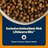 imageBlue Buffalo Freedom GrainFree Adult Weight Control Dry Cat Food Complete ampamp Balanced Nutrition for Indoor Cats Chicken Recipe 11lb BagChicken