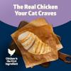 imageBlue Buffalo Freedom GrainFree Adult Wet Cat Food Complete ampamp Balanced Nutrition for Indoor Cats Made with Natural Ingredients Fish Recipe 55oz Cans 24 CountChicken