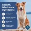 imageBlue Buffalo Tender Shreds Salmon ampamp Chicken Toppers in Savory Broth Natural Dog Food Complement Salmon ampamp Chicken 25oz Pouch 24CountSalmon  Chicken