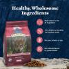imageBlue Buffalo Wilderness HighProtein Natural Dry Food for Puppies Salmon Recipe 45lb BagSalmon plus Wholesome Grains