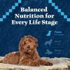 imageBlue Buffalo Wilderness HighProtein Natural Dry Food for Puppies Salmon Recipe 45lb BagSalmon plus Wholesome Grains