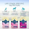 imageBlue Buffalo Life Protection Formula Adult Dry Dog Food Helps Build and Maintain Strong Muscles Made with Natural Ingredients Salmon ampamp Brown Rice Recipe 5lb BagLamb  Brown Rice