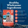 imageBlue Buffalo Wilderness Adult Indoor Dry Cat Food Indoor Hairball Control and Weight Control Formula HighProtein and GrainFree Diet Made with Natural Ingredients Chicken 11lb Bag11 Pound Pack of 1